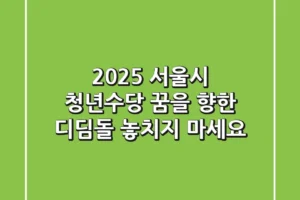 2025 서울시 청년수당: 꿈을 향한 디딤돌, 놓치지 마세요!