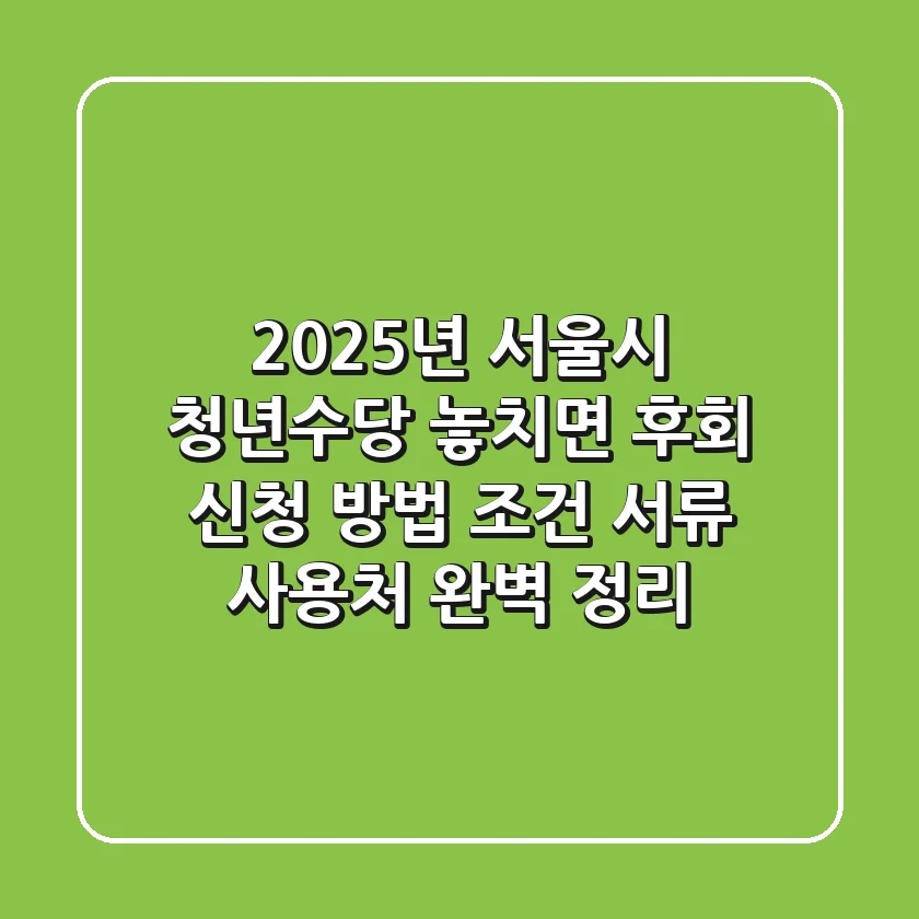 2025년 서울시 청년수당, 놓치면 후회! 신청 방법, 조건, 서류, 사용처 완벽 정리