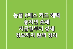 농협 K패스 카드 혜택, 놓치면 손해! 지급일부터 상세 정보까지 완벽 정리