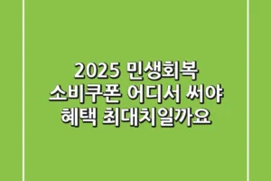 2025 민생회복 소비쿠폰, 어디서 써야 혜택 최대치일까요?