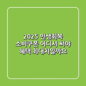 2025 민생회복 소비쿠폰, 어디서 써야 혜택 최대치일까요?