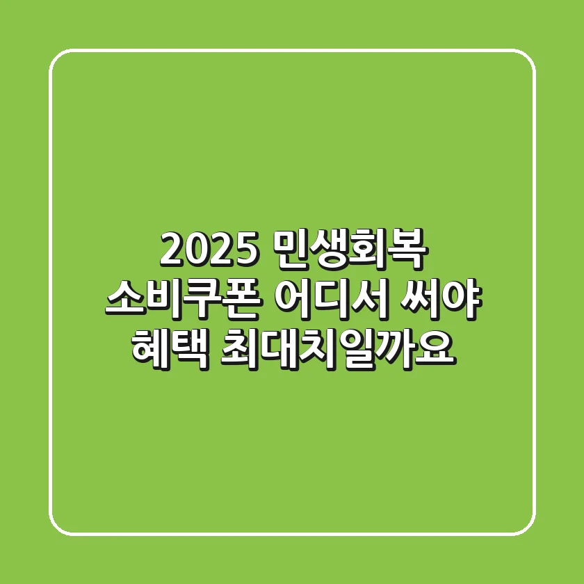 2025 민생회복 소비쿠폰, 어디서 써야 혜택 최대치일까요?