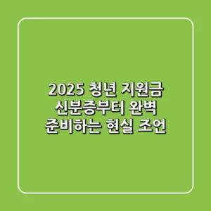 2025 청년 지원금, 신분증부터 완벽 준비하는 현실 조언!