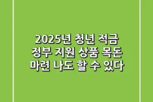 2025년 청년 적금 정부 지원 상품: 목돈 마련, 나도 할 수 있다!
