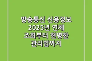 방송통신 신용정보: 2025년 연체 조회부터 현명한 관리법까지