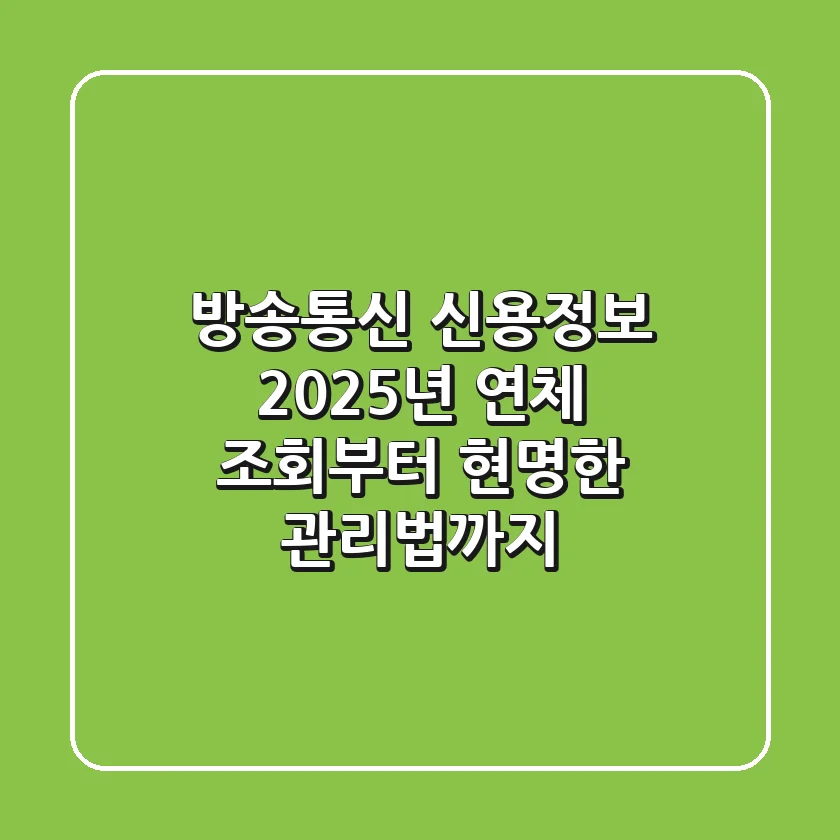 방송통신 신용정보: 2025년 연체 조회부터 현명한 관리법까지