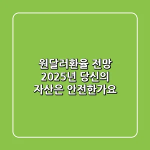 원달러환율 전망, 2025년 당신의 자산은 안전한가요?