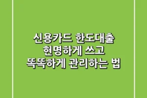 신용카드 한도대출, 현명하게 쓰고 똑똑하게 관리하는 법