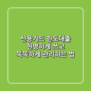 신용카드 한도대출, 현명하게 쓰고 똑똑하게 관리하는 법