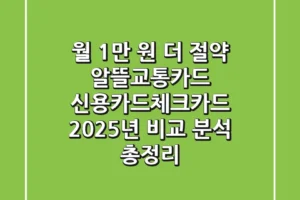 “월 1만 원 더 절약”, 알뜰교통카드 신용카드/체크카드 2025년 비교 분석 총정리