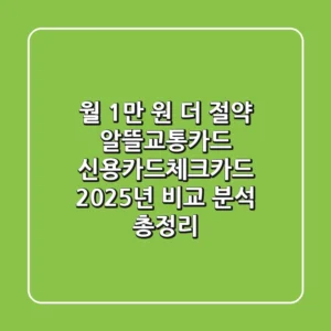 "월 1만 원 더 절약", 알뜰교통카드 신용카드/체크카드 2025년 비교 분석 총정리