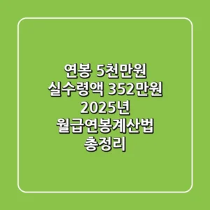 "연봉 5천만원 실수령액 352만원", 2025년 월급연봉계산법 총정리