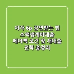 "이자 6%p 감면받는 법", 소액생계비대출 페이백 조건 및 재대출 전략 총정리
