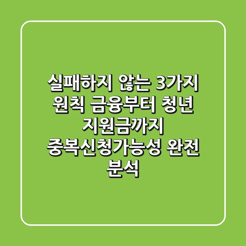 "실패하지 않는 3가지 원칙", 금융부터 청년 지원금까지 중복신청가능성 완전 분석