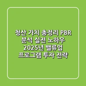 "청산 가치 총정리", PBR 분석 실전 노하우: 2025년 밸류업 프로그램 투자 전략