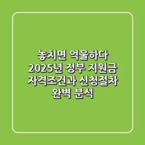 "놓치면 억울하다", 2025년 정부 지원금 자격조건과 신청절차 완벽 분석
