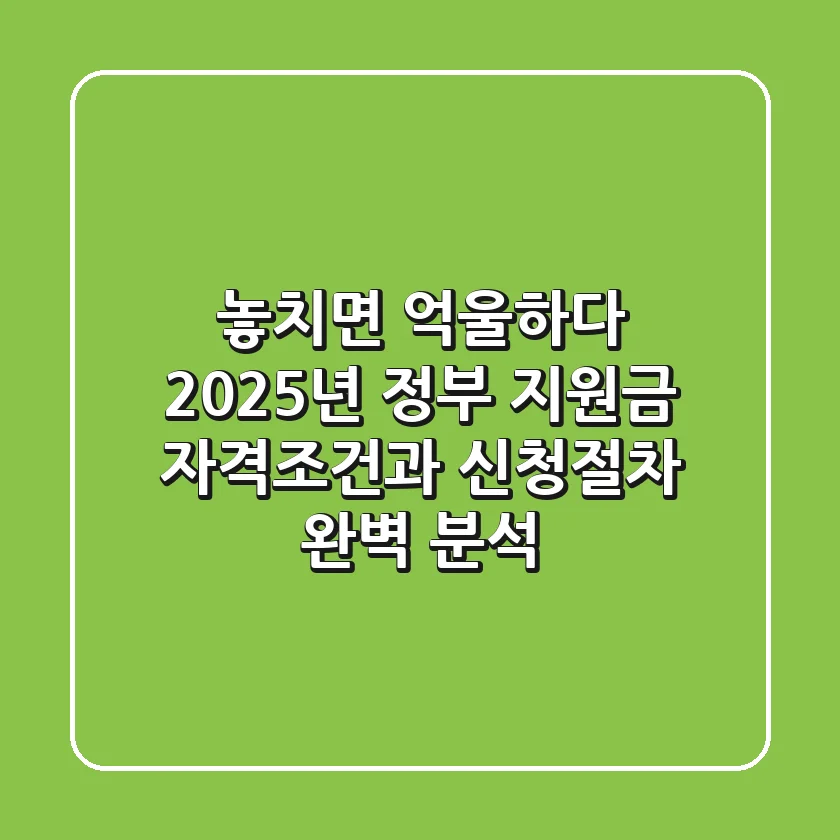 "놓치면 억울하다", 2025년 정부 지원금 자격조건과 신청절차 완벽 분석